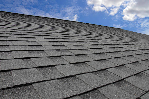 Best Roof Waterproofing  in USA